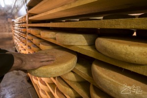 JMC4620-Fromagerie-Janin-Champagnole