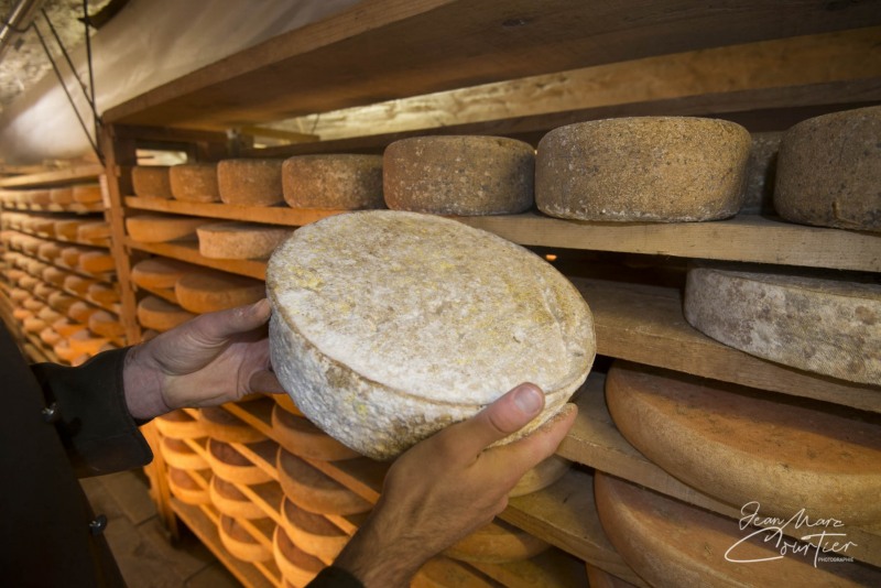 JMC4632-Fromagerie-Janin-Champagnole